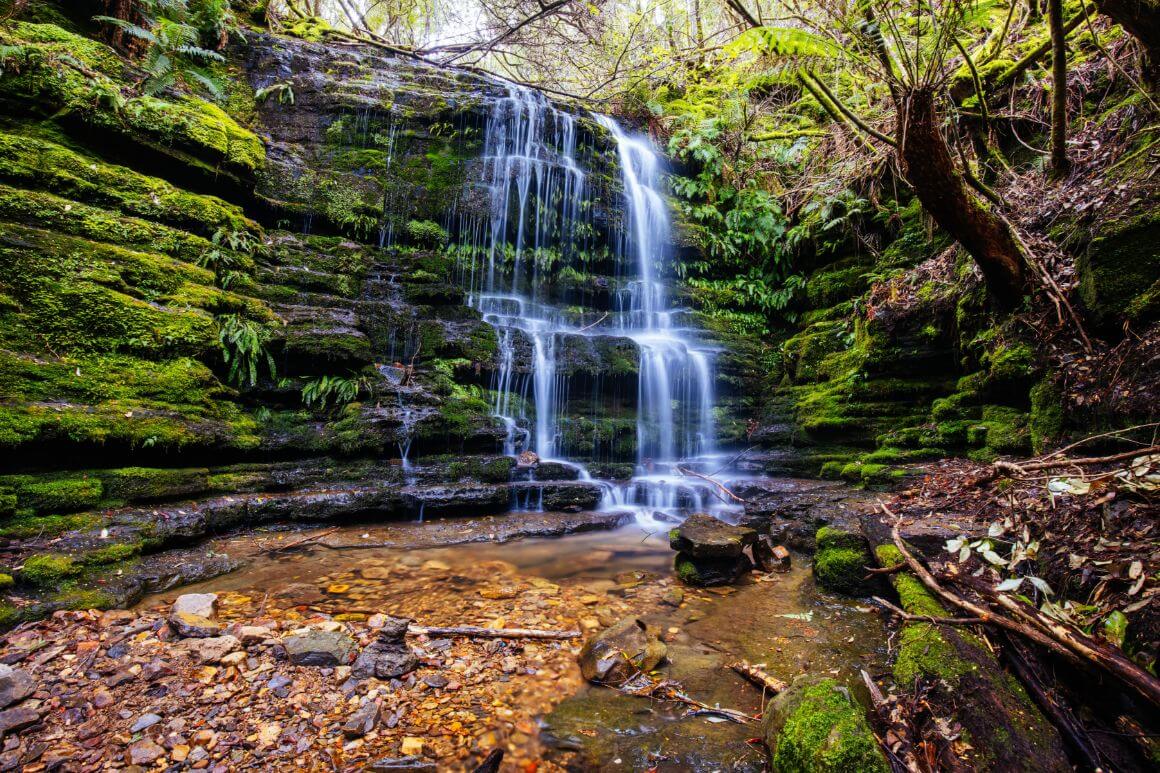 Myrtle Gully Falls Wellington Hobart