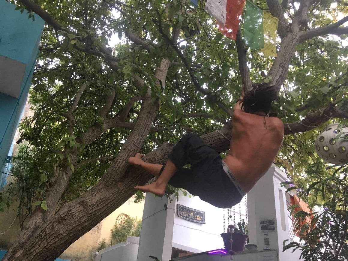 guy climbing a tree best hostel stories