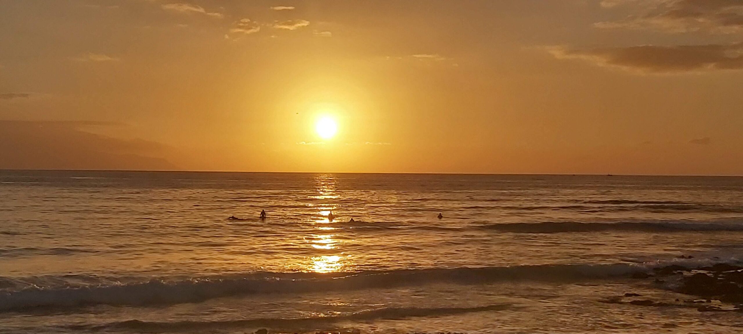 people swimming during orange sunset over the beach 