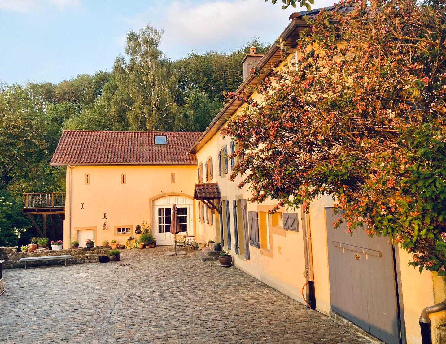 A farmhouse with a brick driveway surrounded by trees and a grassy field in Luxembourg