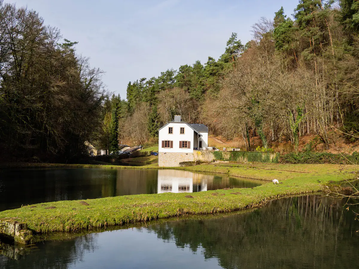 A white house on the shore of a calm lake surround by lush greenery.