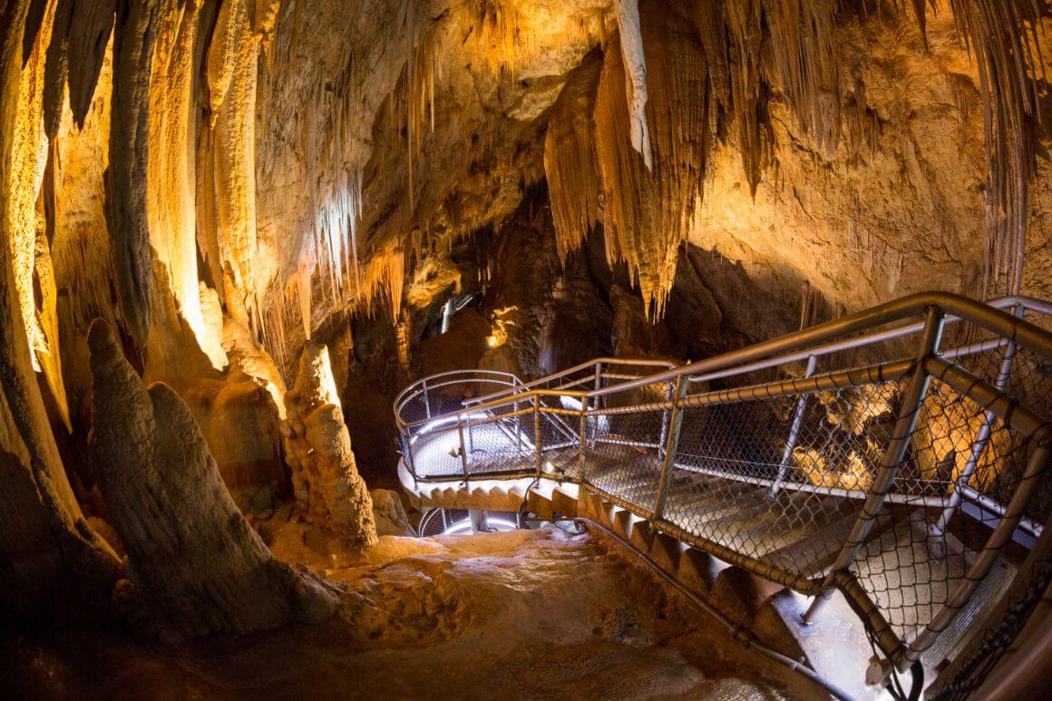 Hastings Caves Tasmania