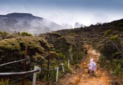 Best Time to Visit Kota Kinabalu – MUST READ