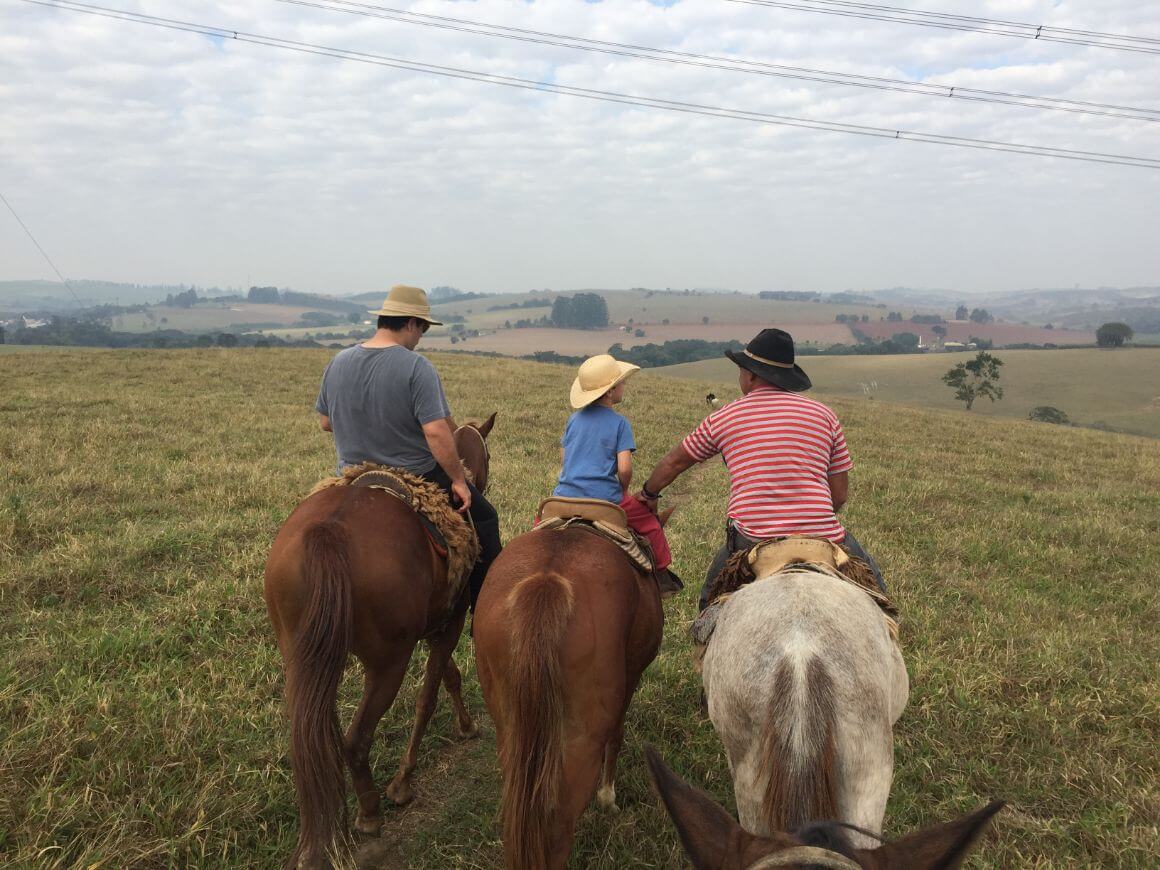 São Paulo farm