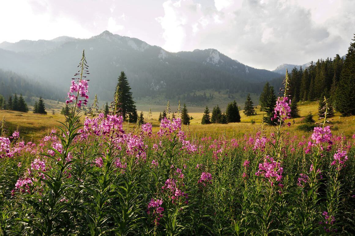 Sjeverni Velebit National Park