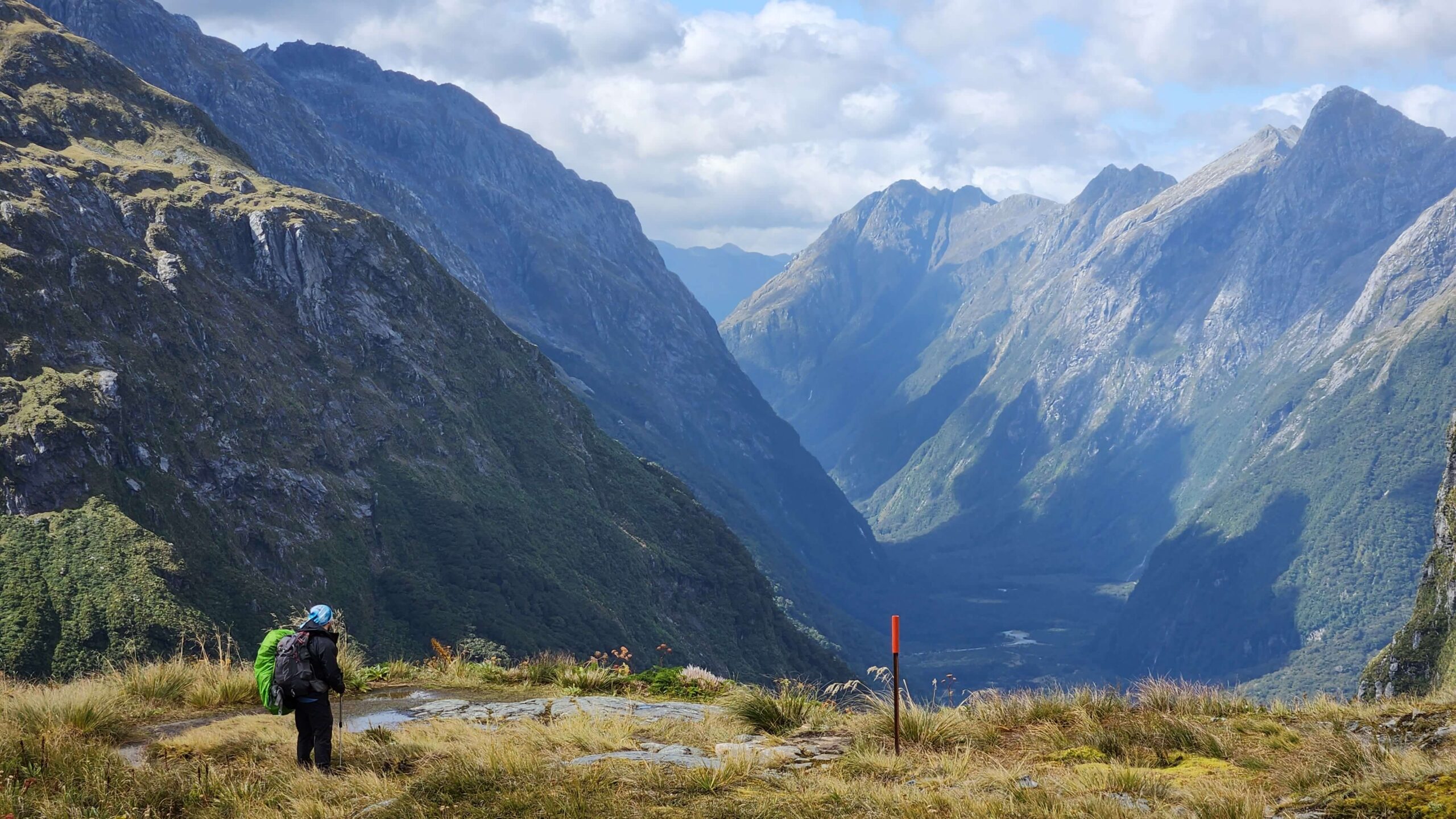 backpacker will trekking in a lush green mountainscape in new zealand