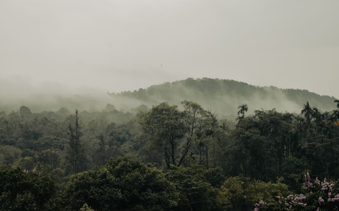 Agumbe