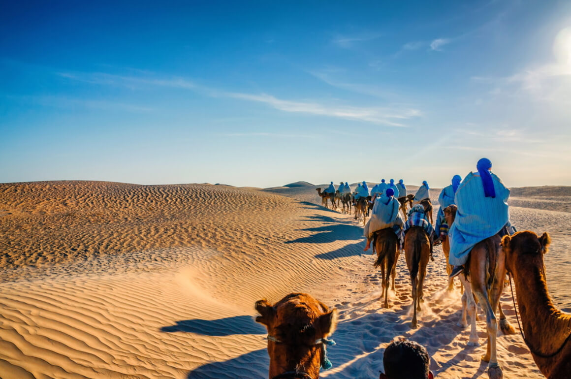 Camels caravan Tunisia