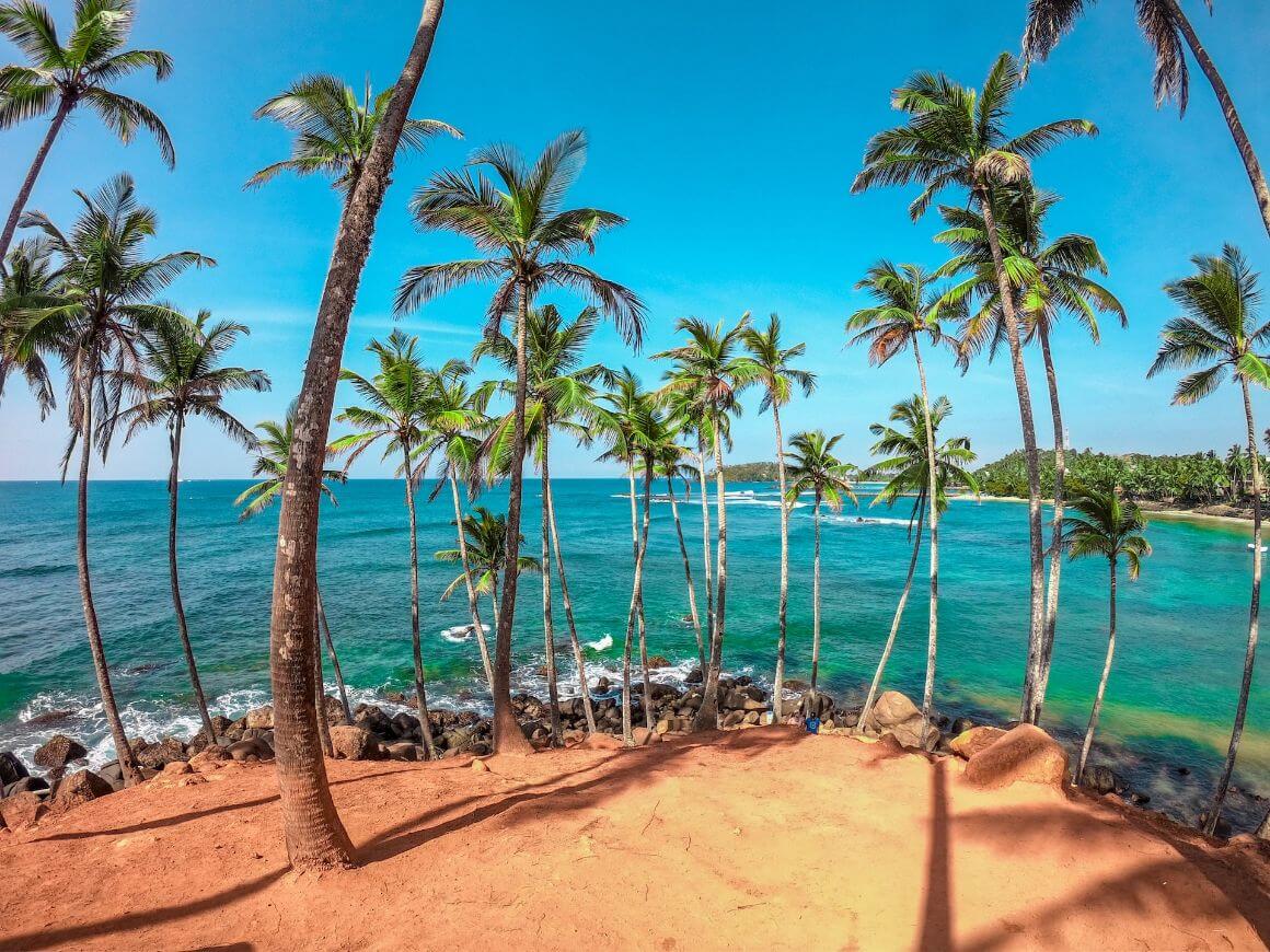 stunning beach scene at Coconut Tree Hill in Mirissa, Sri Lanka, with several palm trees gracefully leaning towards the ocean