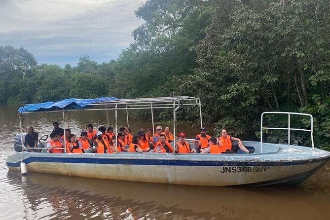 Cruise Across the Klias Wetlands Kota Kinabalu