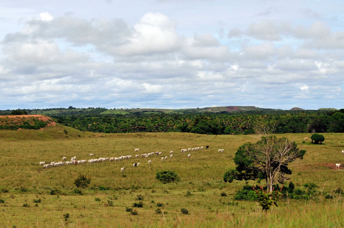 Llanos Colombia