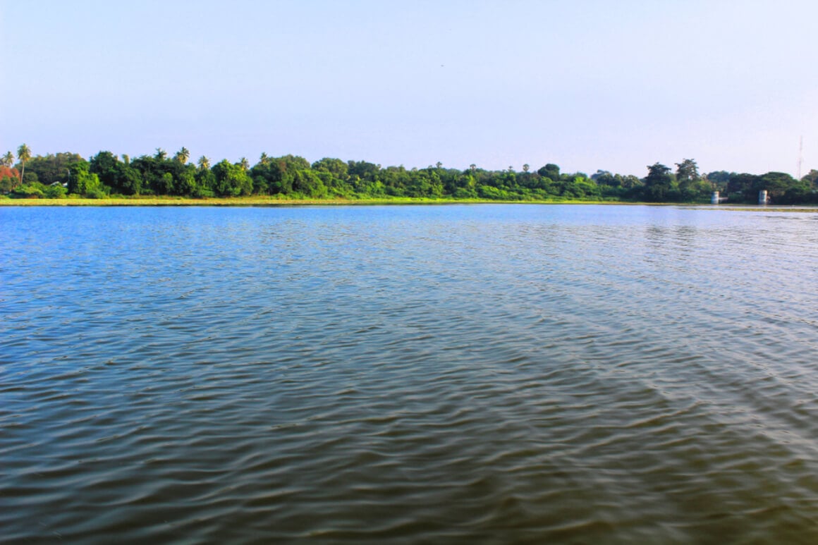 Ousteri Lake Pondicherry