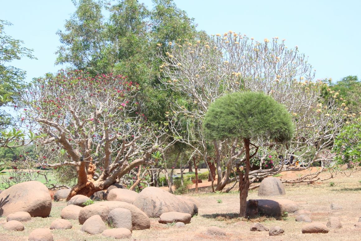 Pondicherry Botanical Garden