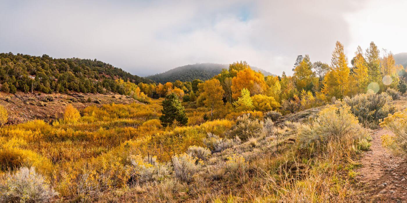 Santa Fe Randall Davey Audubon Center