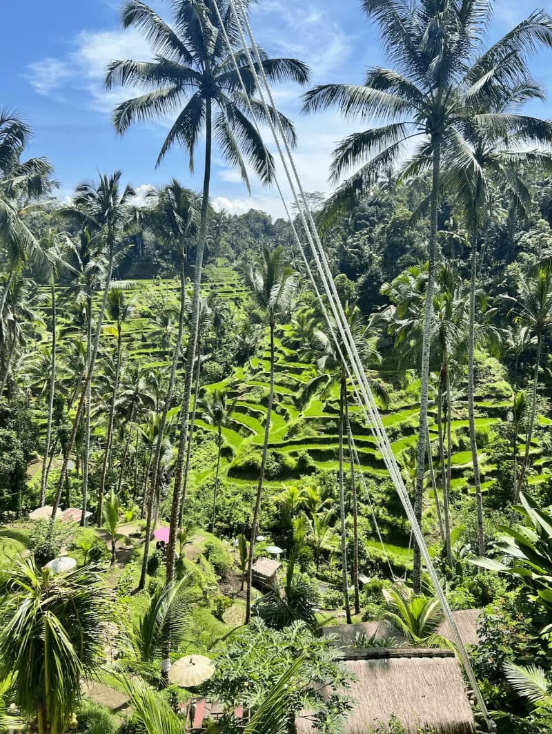 UBUD NATURE SCENE