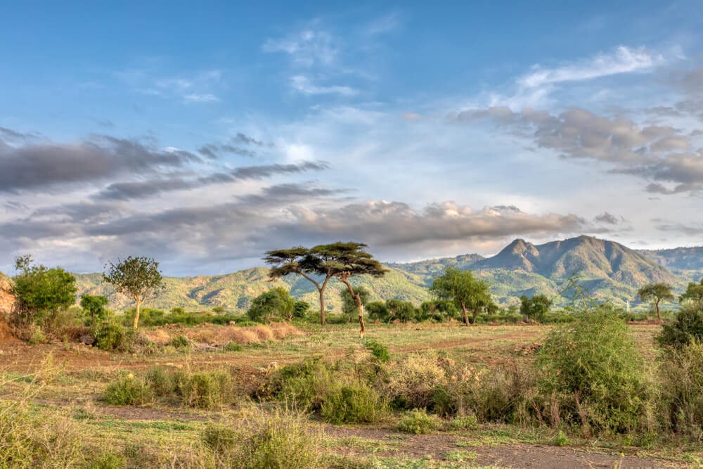 ethiopia travel brochure