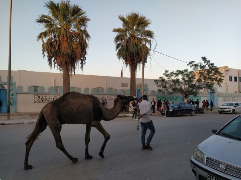 Backpacking Tunisia Travel Guide (BUDGET TIPS)