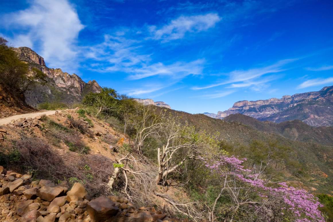 Copper Canyon Mexico