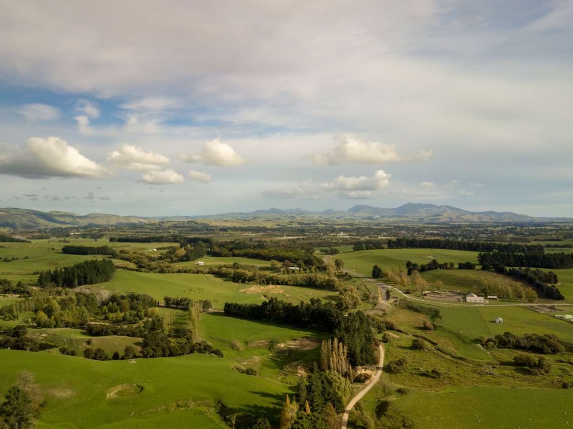 New Zealand Scenery Martinborough