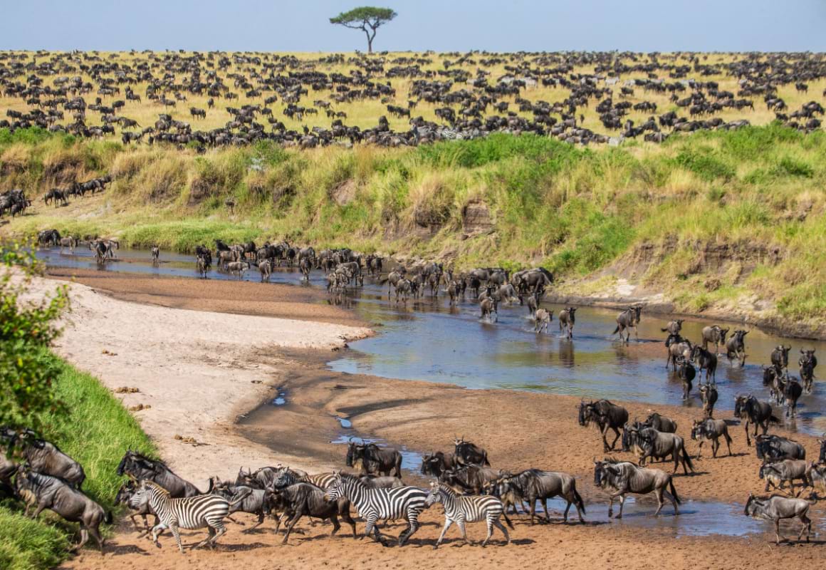 Serengeti National Park Tanzania