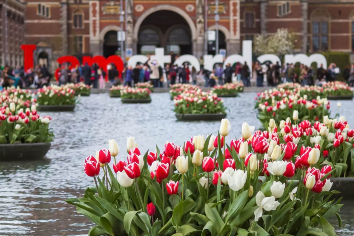 Tulip festival Amsterdam