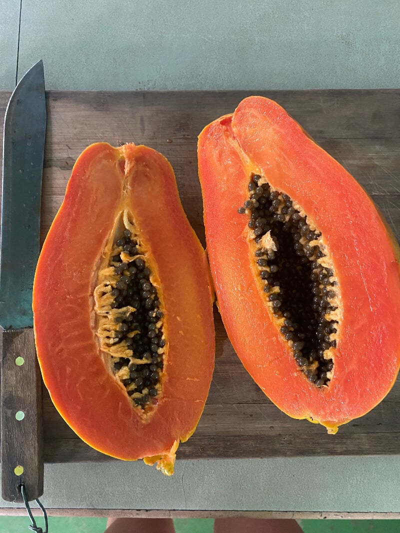 papaya grown in Costa Rica 