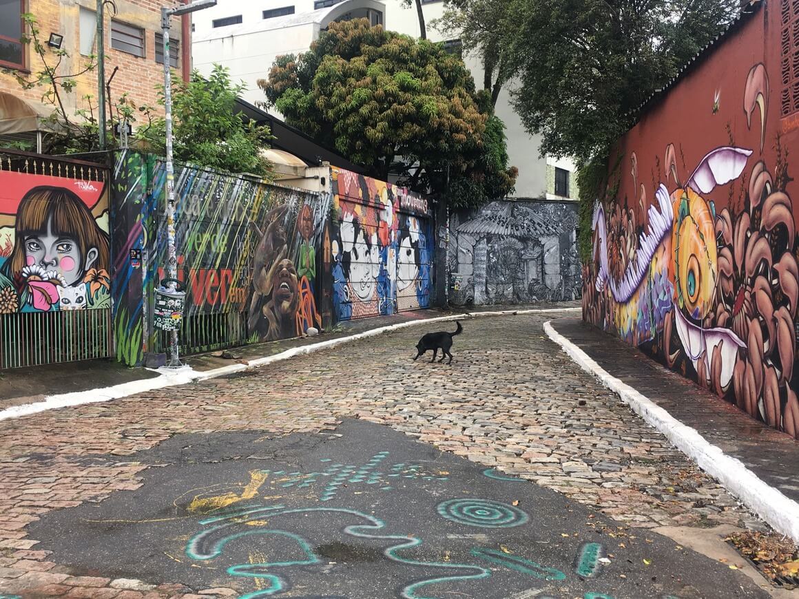 Colourful street art on a cobbled alley with a back dog crossing