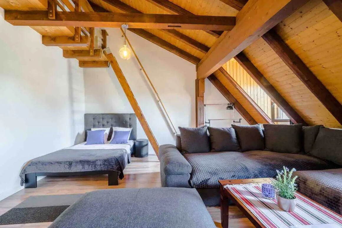 Big Attic Apartment Zurich City