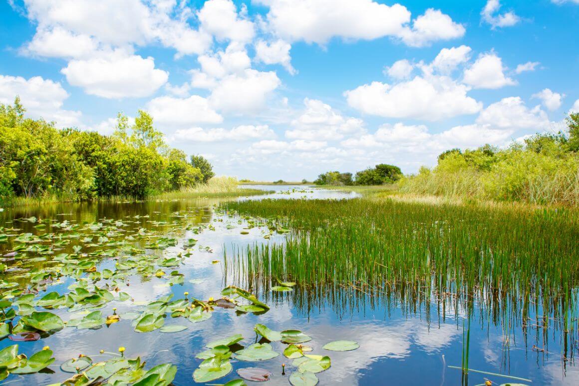 Everglades Park Florida 