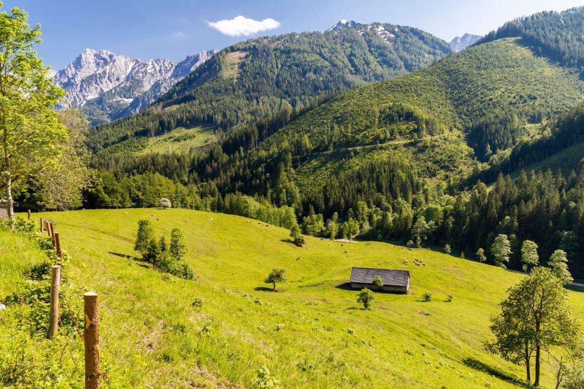 Kalkalpen Park Austria