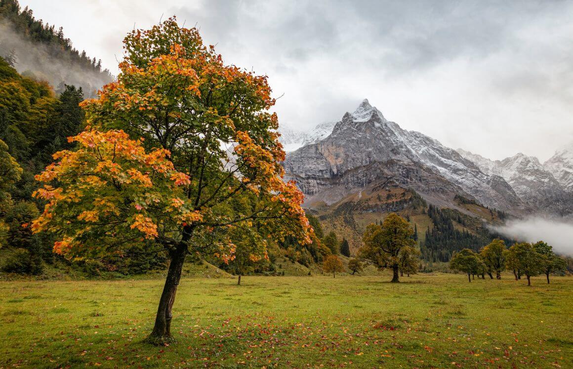 Karwendel Park Austria