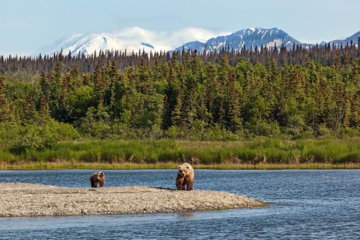 Katmai National Park Alaska