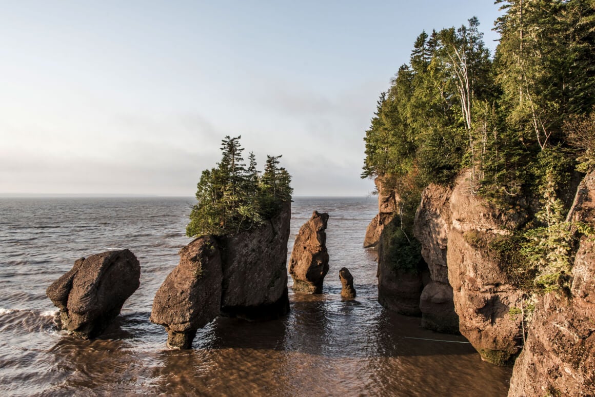 The Bay of Fundy New Brunswick