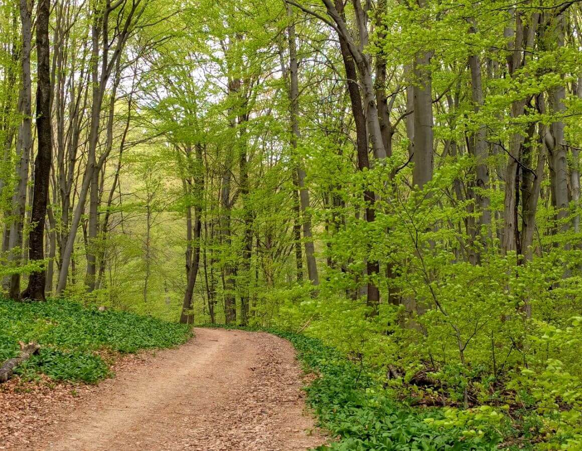 Wienerwald Reserve Austria