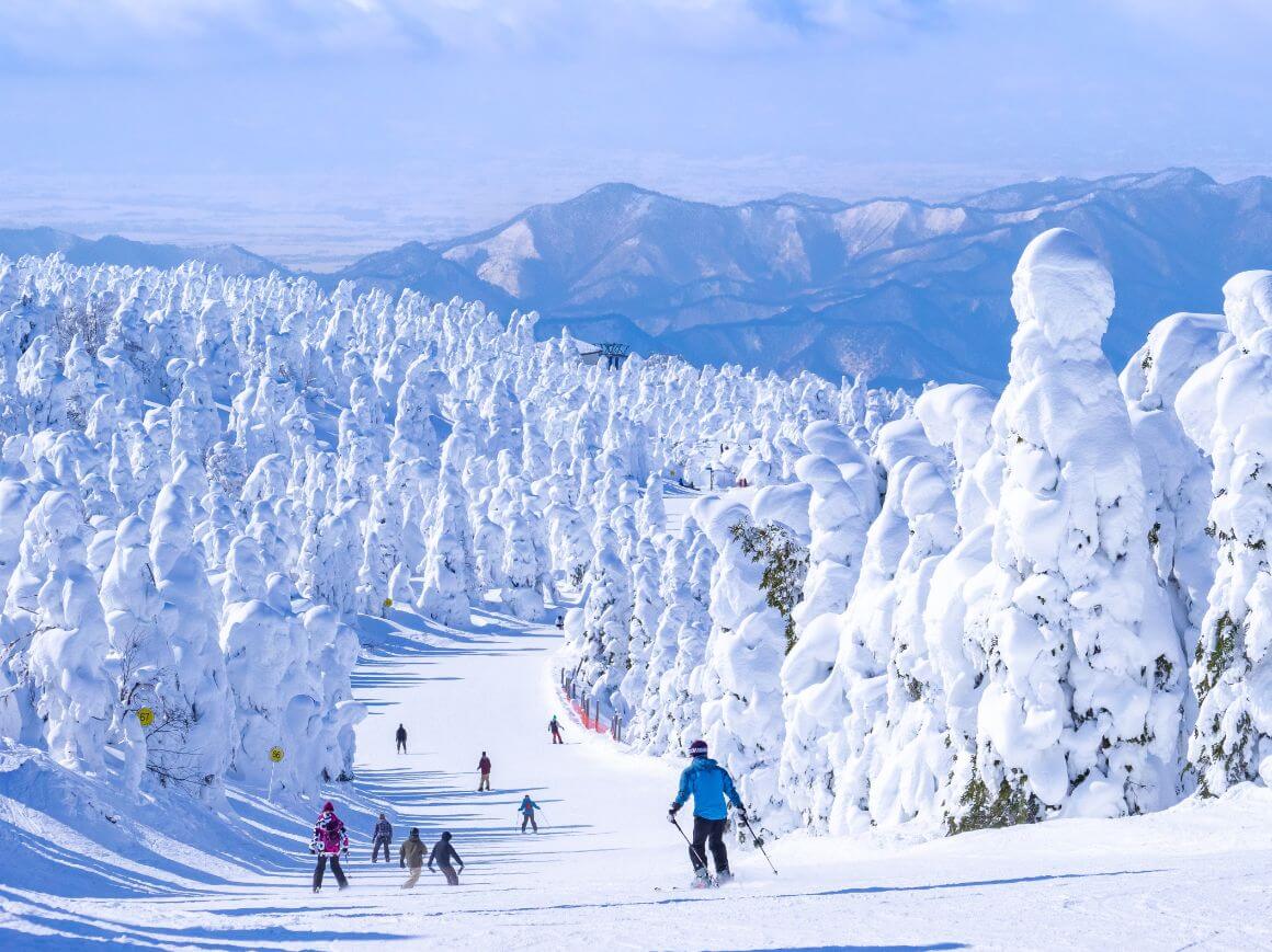 Zao Snow Monsters Yamagata Japan