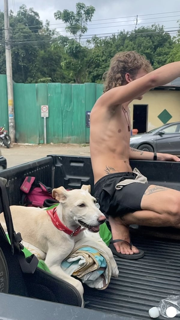Guy in hopping into back of pickup truck with his dog in Costa Rica.