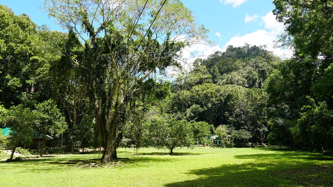 Rajah Sikatuna National Park Bohol