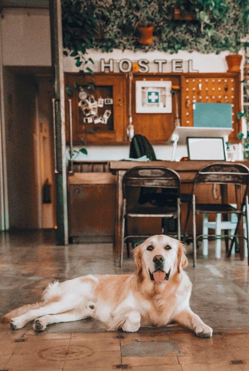 lx hostel factory lisbon
