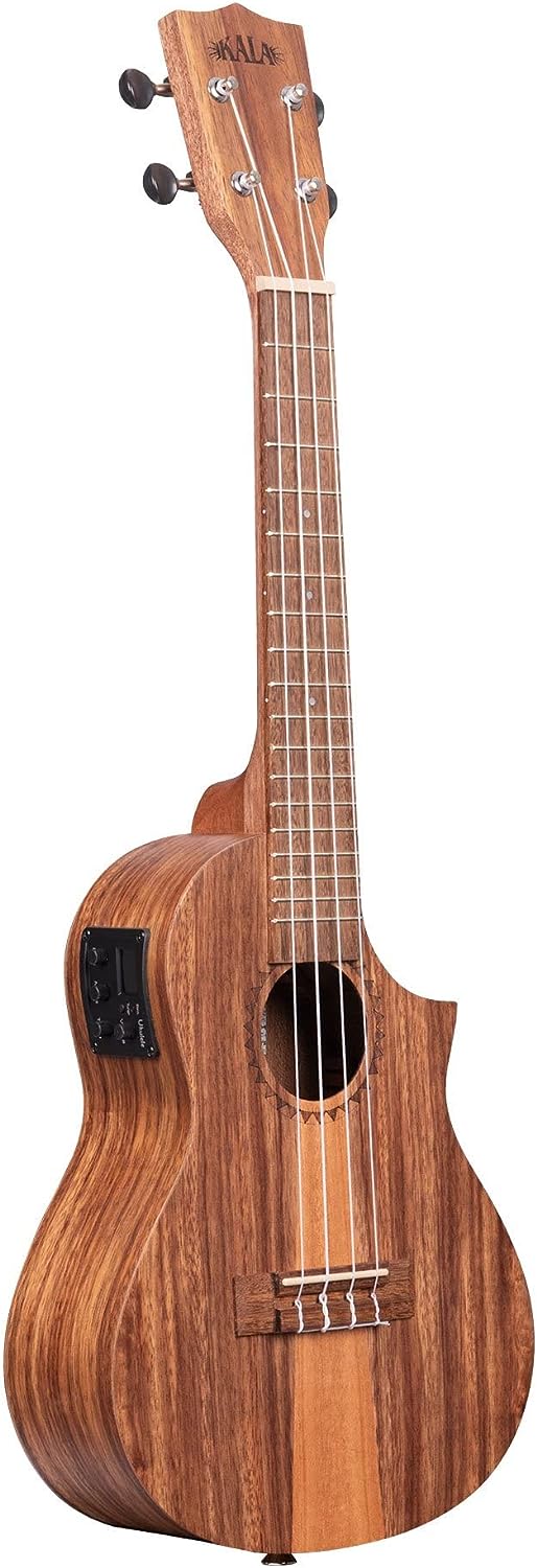 top travel bass guitar