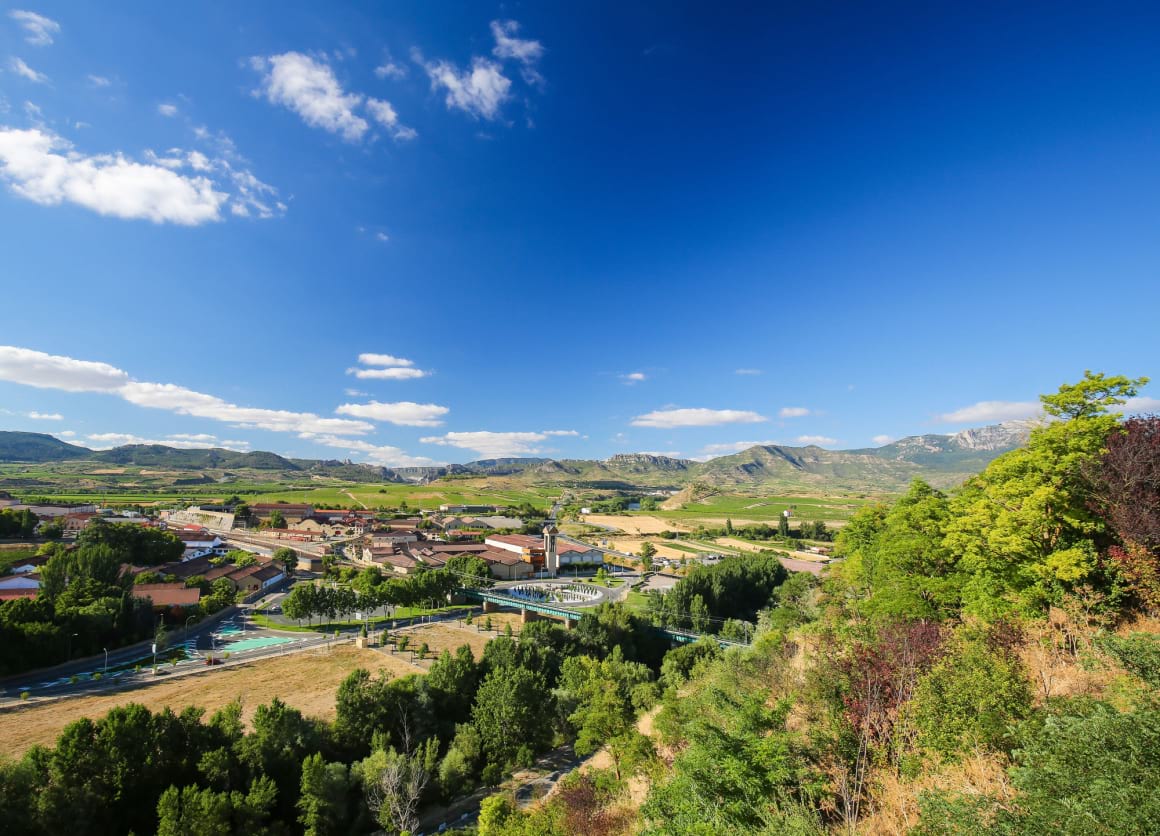 Famous wine houses and vineyards Rioja