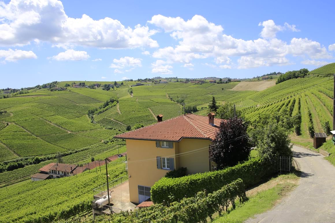 Piedmont vineyard Italy