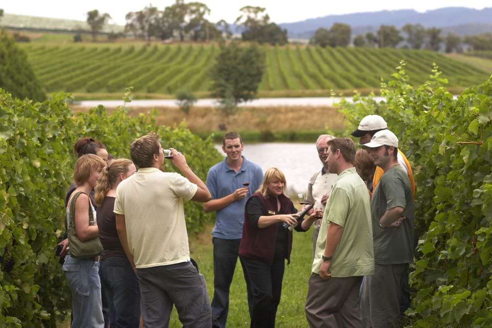 Rioja Wine Tour