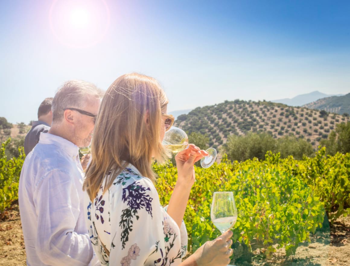 Wine tasters in vineyards in Andalucia