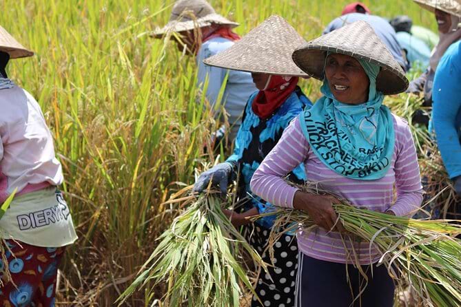 Spend the Day with a Balinese Family