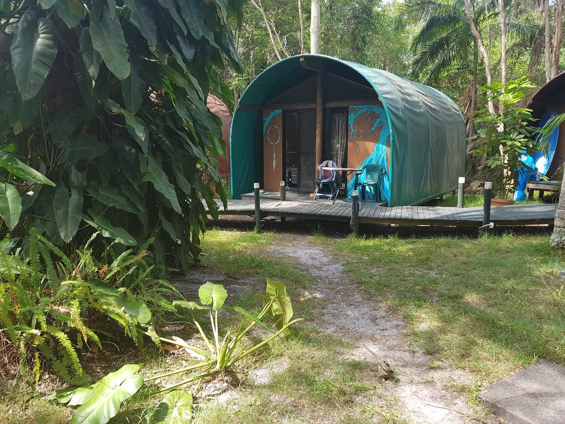 Small outdoor dorm room surrounded by jungle and lizard hiding in Arts Factory Hostel, Byron Bay