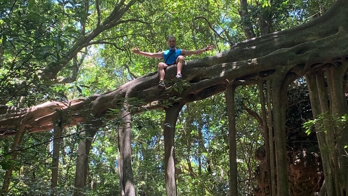 Monteverde hanging tree roots