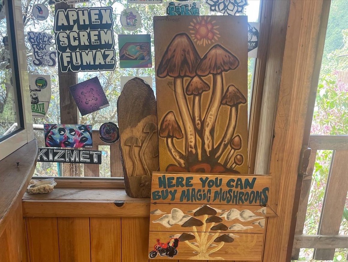 A sign in a hostel in San Jose del Pacifico, Mexico that says "You Can Buy Magic Mushrooms Here."