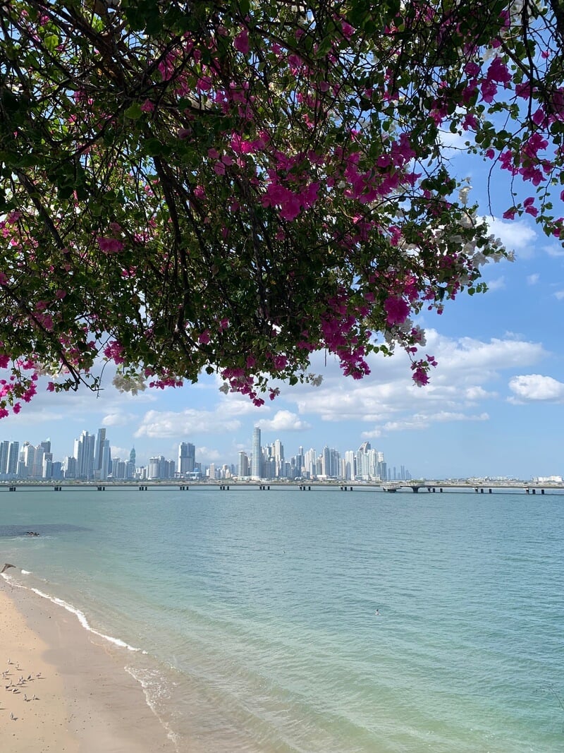 Panama City Waterfront