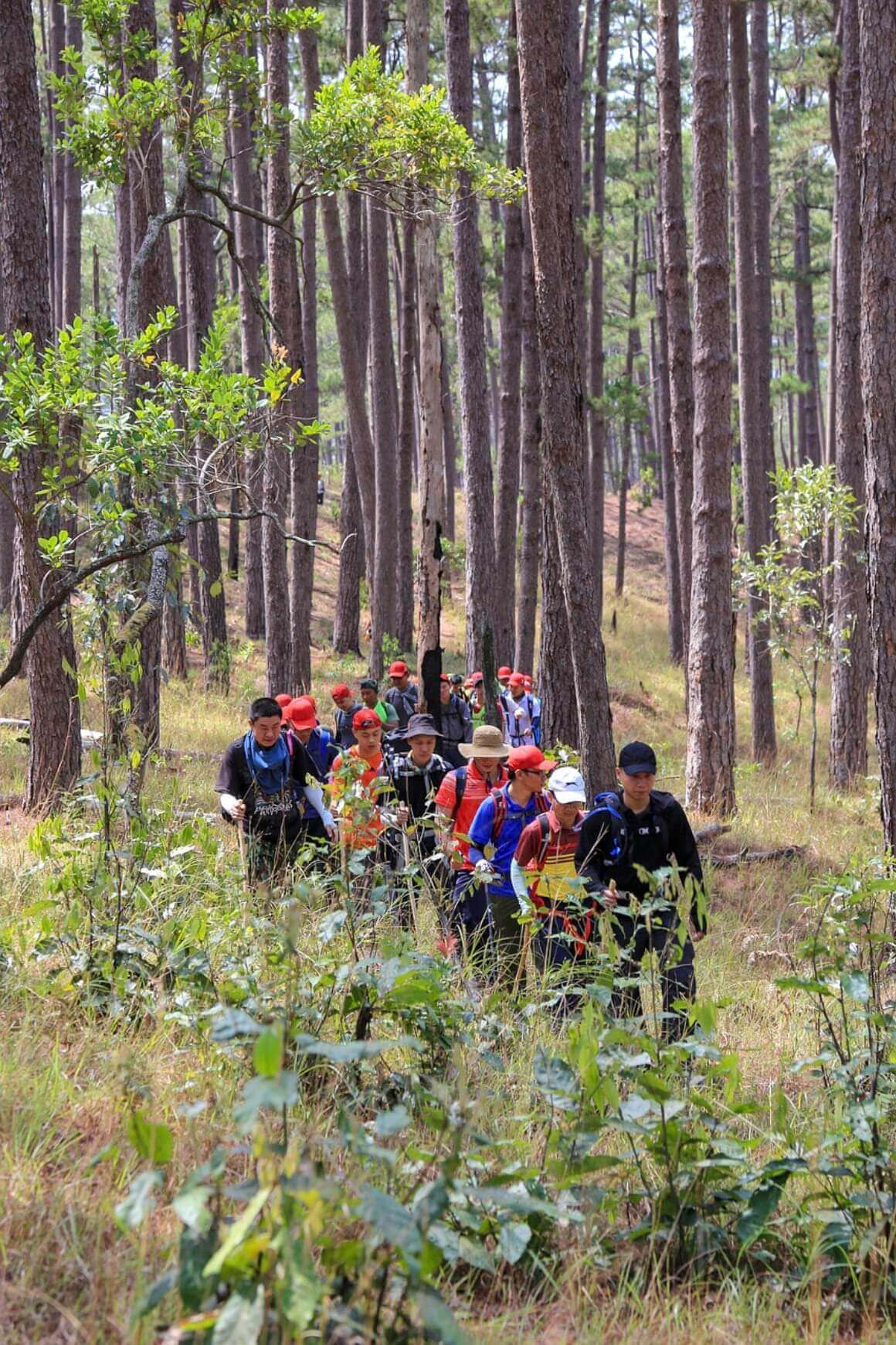 People trekking in Vietnam