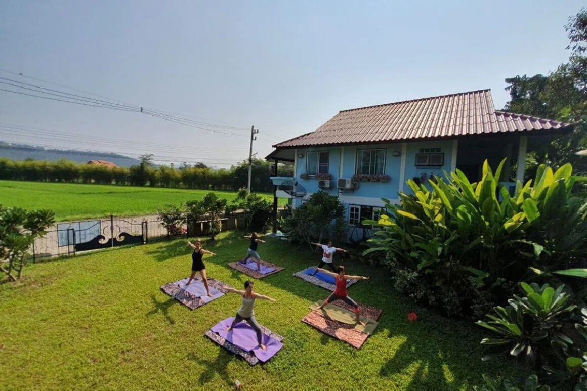 A group of people standing on their yoga matt engaged in a yoga session in a lush backyard